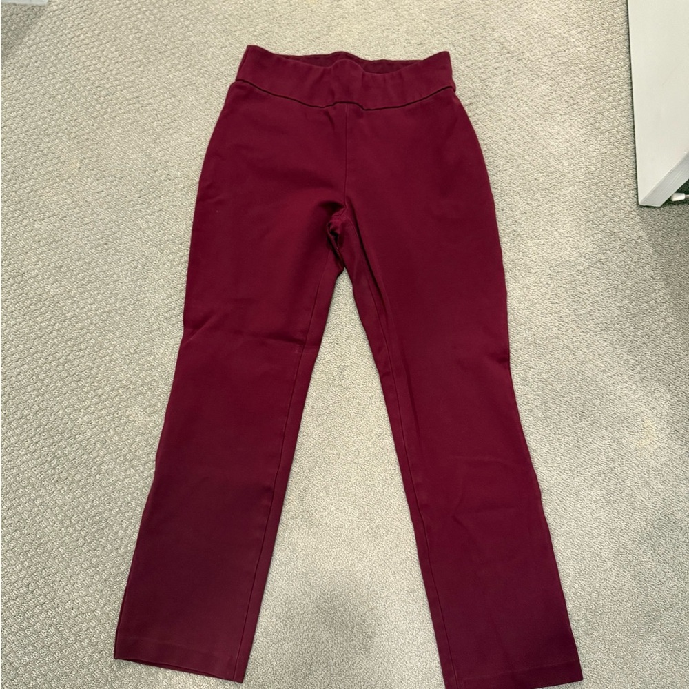 Express Burgundy Pants
